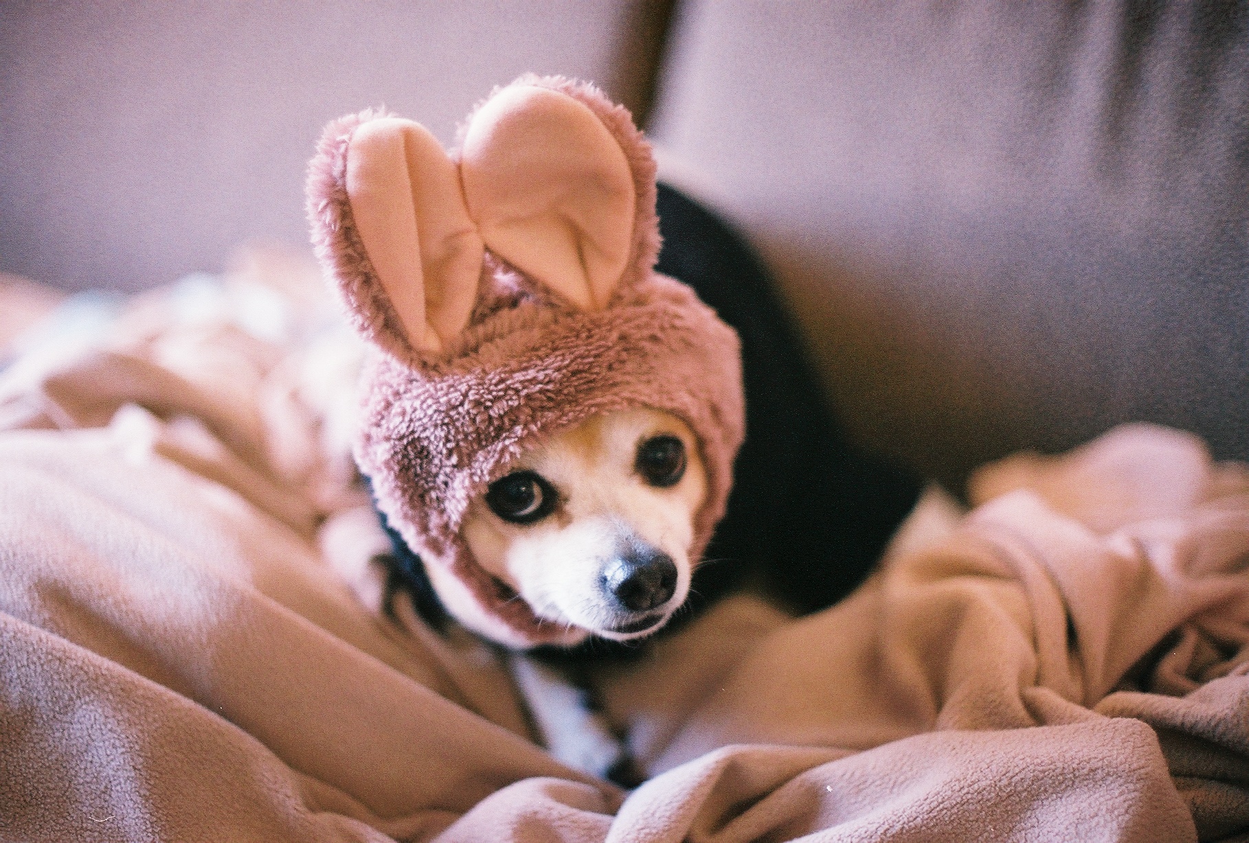 GusGus in Palm Springs